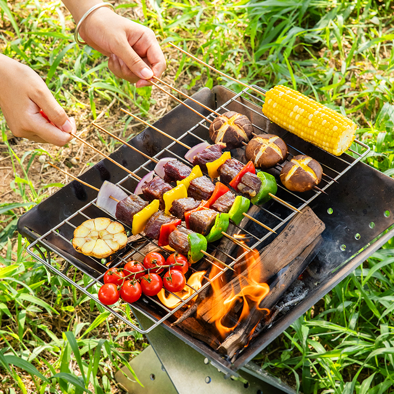 ตาข่ายย่างบาร์บีคิวไทเทเนียมบร - Camping Cooking Easy บทวิจารณ์และราคา